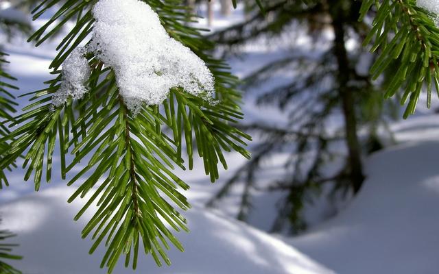 سيتم تشغيل عطلة عيد الميلاد وموسم الأعياد Holiday Christmas من متجر Chrome الإلكتروني باستخدام OffiDocs Chromium عبر الإنترنت