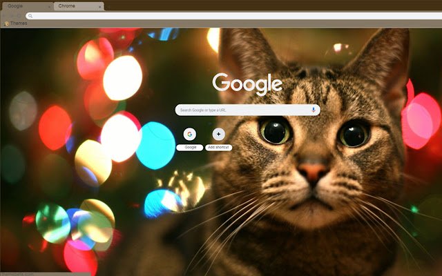 Chrome ウェブストアの Christmaswarm 猫テーマを OffiDocs Chromium online で実行