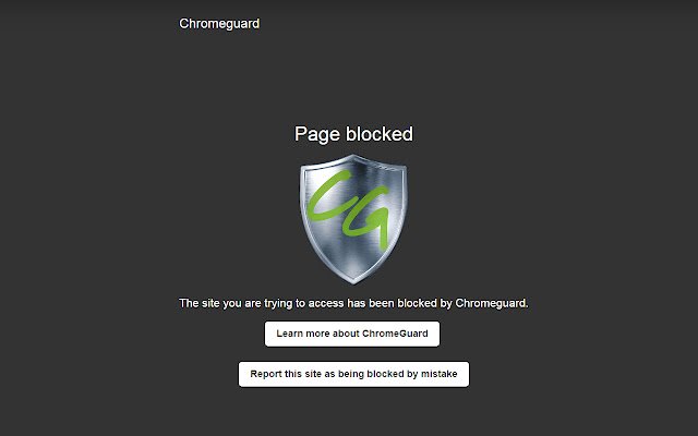 ChromeGuard  from Chrome web store to be run with OffiDocs Chromium online