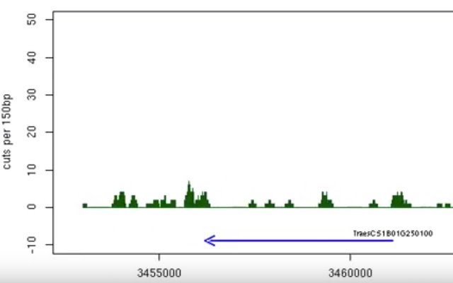 Chrome वेब स्टोर से Chromesome को OffiDocs क्रोमियम ऑनलाइन के साथ चलाया जाएगा