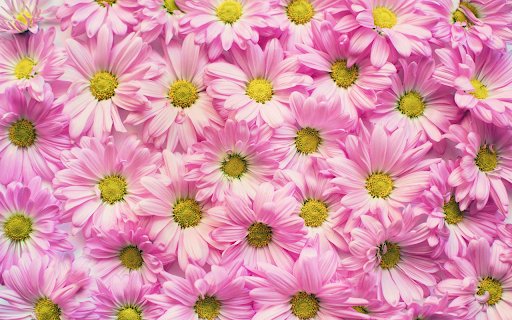 Chrysanthemum arrangement  from Chrome web store to be run with OffiDocs Chromium online