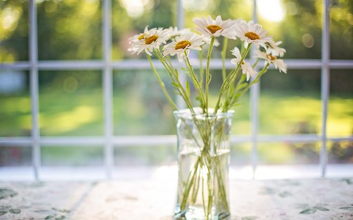 Chrysanthemum vase  from Chrome web store to be run with OffiDocs Chromium online