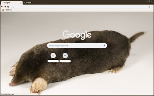 Chuot chui from Chrome web store to be run with OffiDocs Chromium online Chuot chui from Chrome web store to be run with OffiDocs Chromium online
