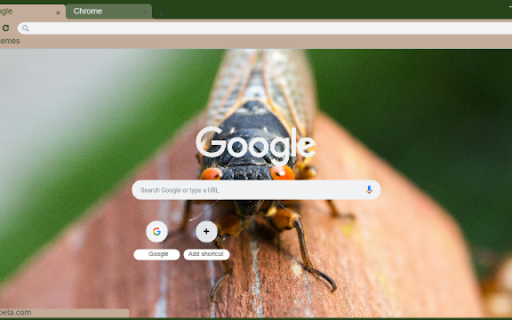 Cicada from Chrome web store to be run with OffiDocs Chromium online Cicada from Chrome web store to be run with OffiDocs Chromium online