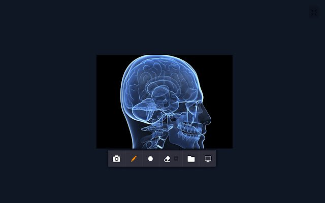 Ciketi Screen Sharing Chrome Extension  from Chrome web store to be run with OffiDocs Chromium online