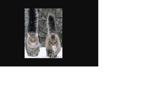 Clap For Cat from Chrome web store to be run with OffiDocs Chromium online Clap For Cat from Chrome web store to be run with OffiDocs Chromium online