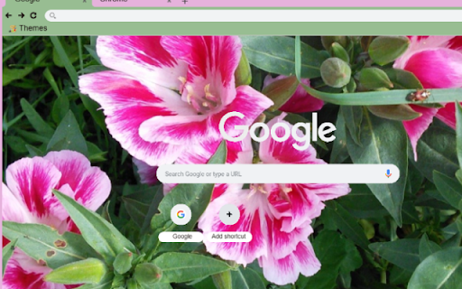 Clarkia  from Chrome web store to be run with OffiDocs Chromium online