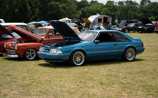 Classic Cars Parked on an Open Grass Field  from Chrome web store to be run with OffiDocs Chromium online