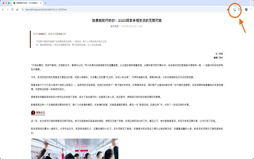 CleanWeView  from Chrome web store to be run with OffiDocs Chromium online