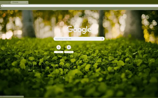 Clover Bed  from Chrome web store to be run with OffiDocs Chromium online