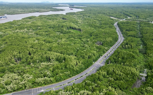 Cần Giờ – The Green Escape of Ho Chi Minh City from Chrome web store to be run with OffiDocs Chromium online Cần Giờ – The Green Escape of Ho Chi Minh City from Chrome web store to be run with OffiDocs Chromium online