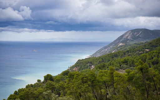 Coastal forest  from Chrome web store to be run with OffiDocs Chromium online