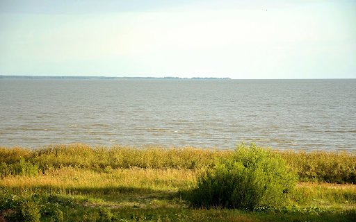 Coastal lawn  from Chrome web store to be run with OffiDocs Chromium online