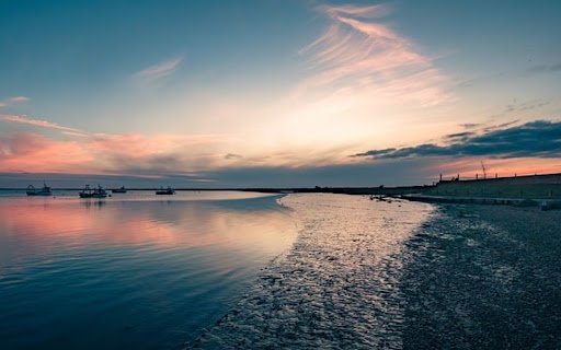 COAST Theme  from Chrome web store to be run with OffiDocs Chromium online