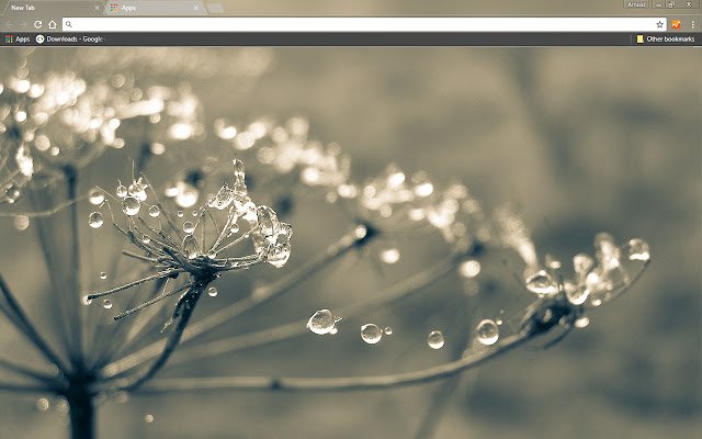 Cobweb  from Chrome web store to be run with OffiDocs Chromium online