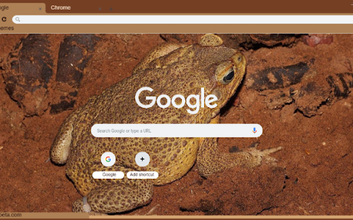 Coc  from Chrome web store to be run with OffiDocs Chromium online