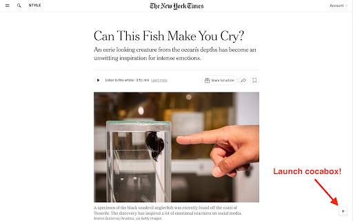 cocabox your AI browsing companion  from Chrome web store to be run with OffiDocs Chromium online