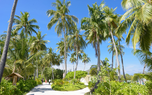 Coconut Island  from Chrome web store to be run with OffiDocs Chromium online