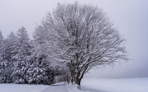 Cold winter  from Chrome web store to be run with OffiDocs Chromium online