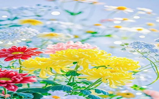 colorful daisy wallpaper  from Chrome web store to be run with OffiDocs Chromium online