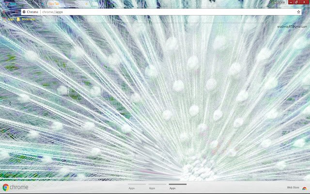 Colorful Feather Nature Pastel  from Chrome web store to be run with OffiDocs Chromium online Colorful Feather Nature Pastel  from Chrome web store to be run with OffiDocs Chromium online