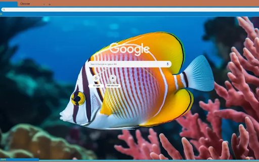 colorful fish swimming underwater  from Chrome web store to be run with OffiDocs Chromium online