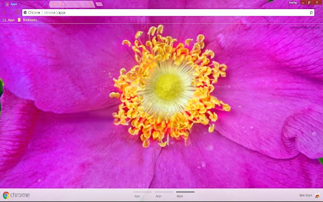 Colorful Flower Nature Pink из интернет-магазина Chrome будет работать с онлайн-версией OffiDocs Chromium