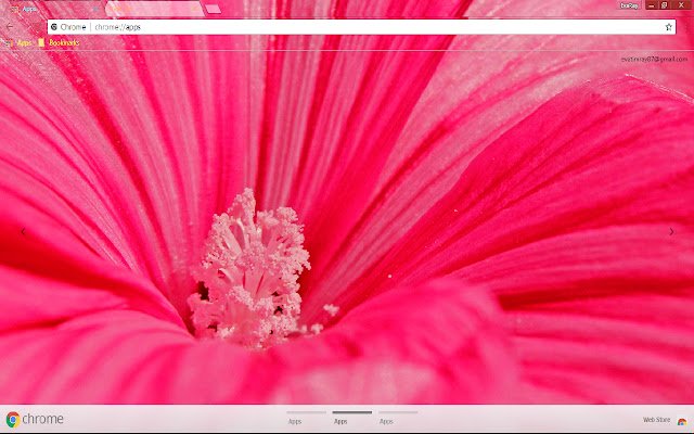 Petalo pastello di fiori colorati dal negozio web di Chrome da eseguire con OffiDocs Chromium online