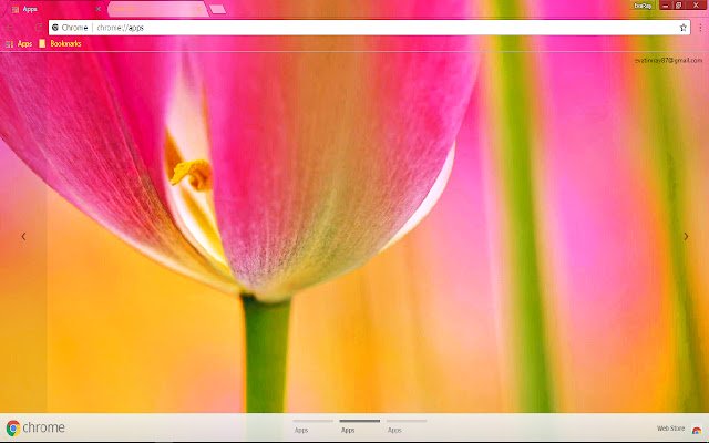 Chrome 网上商店的 Colorful Flower Petal Pink 将与 OffiDocs Chromium 在线一起运行