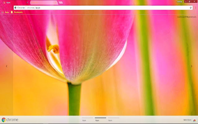 Colorful Flower Petal Pink  from Chrome web store to be run with OffiDocs Chromium online
