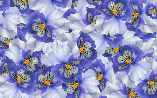 Colorful flowers  from Chrome web store to be run with OffiDocs Chromium online