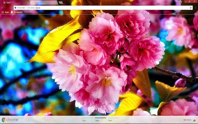 צבעוני פרח Sakura Spring מחנות האינטרנט של Chrome להפעלה עם OffiDocs Chromium באינטרנט