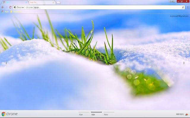 Colorful Grass Nature Snow  from Chrome web store to be run with OffiDocs Chromium online