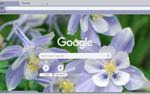 Columbine Blue  from Chrome web store to be run with OffiDocs Chromium online