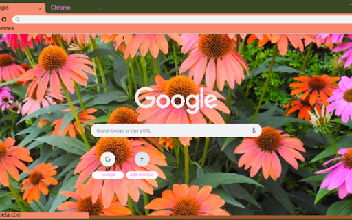 Coneflower  from Chrome web store to be run with OffiDocs Chromium online