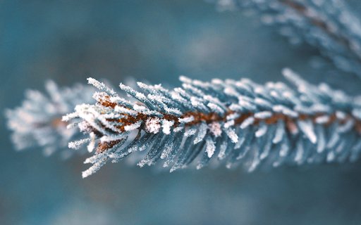 Coniferous branches and snow bushes from Chrome web store to be run with OffiDocs Chromium online Coniferous branches and snow bushes from Chrome web store to be run with OffiDocs Chromium online