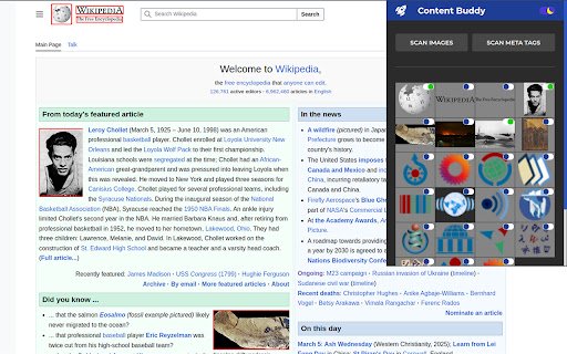 Content Buddy  from Chrome web store to be run with OffiDocs Chromium online