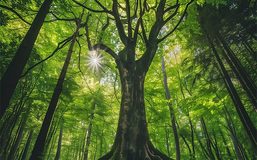 Cool Green Forest At Movie2k from Chrome web store to be run with OffiDocs Chromium online Cool Green Forest At Movie2k from Chrome web store to be run with OffiDocs Chromium online