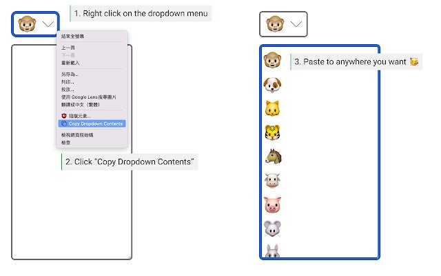 从 Chrome 网上商店复制下拉内容，以便与 OffiDocs Chromium 在线运行