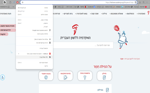 Copy Plain URL  from Chrome web store to be run with OffiDocs Chromium online
