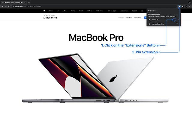 Copy URL  from Chrome web store to be run with OffiDocs Chromium online