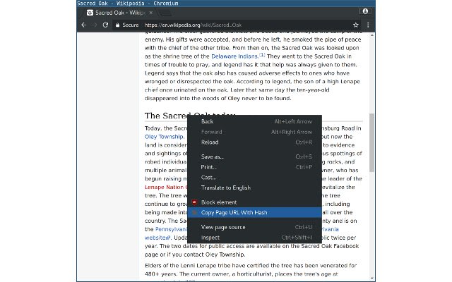 Copy URL With Hash  from Chrome web store to be run with OffiDocs Chromium online