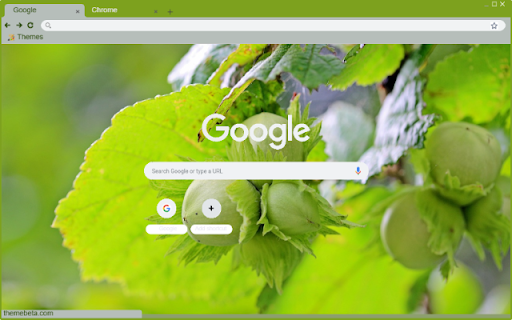 Corylus  from Chrome web store to be run with OffiDocs Chromium online