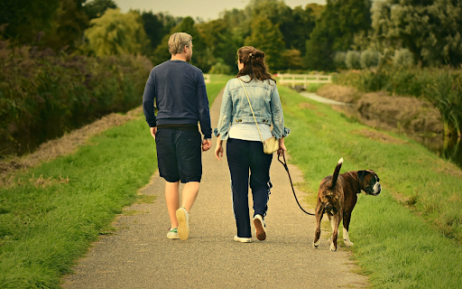 Couple going for a walk  from Chrome web store to be run with OffiDocs Chromium online