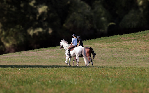 Couple on horseback  from Chrome web store to be run with OffiDocs Chromium online