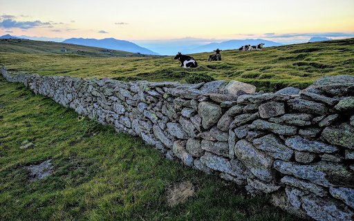 Cow farm  from Chrome web store to be run with OffiDocs Chromium online