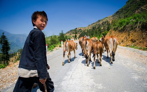 Cowherd boy from Chrome web store to be run with OffiDocs Chromium online Cowherd boy from Chrome web store to be run with OffiDocs Chromium online