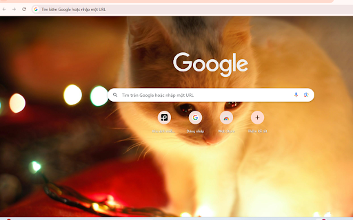 Cozy Cat with Holiday Lights  from Chrome web store to be run with OffiDocs Chromium online