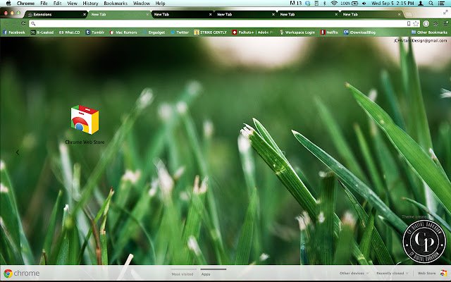 CPDD Grass из интернет-магазина Chrome будет работать с онлайн-версией OffiDocs Chromium