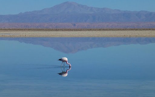 CRANE THEME  from Chrome web store to be run with OffiDocs Chromium online